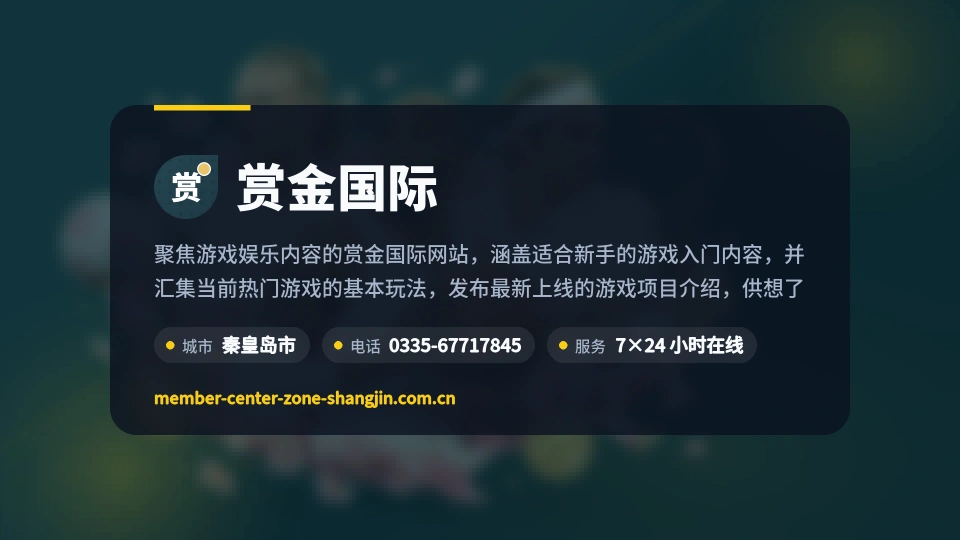 发现赏金国际